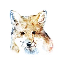 Watercolour Fox Fine Art Print