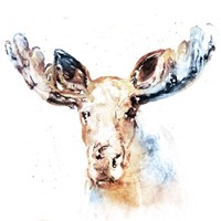 Watercolour Moose Fine Art Print