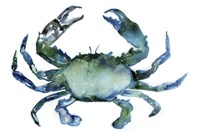 Crab Fine Art Print