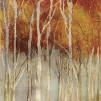 Belgium Forest I Fine Art Print
