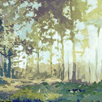 Bellewoods Fine Art Print