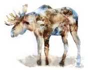 Moose Fine Art Print