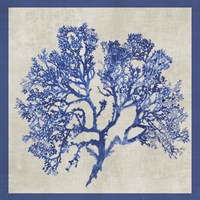 Cobalt Coral I Fine Art Print