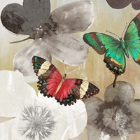 Aflutter I Fine Art Print