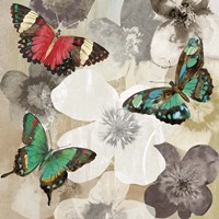 Aflutter III Fine Art Print