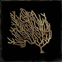 Gold Coral II Fine Art Print