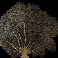 Honeycomb Coral II Fine Art Print