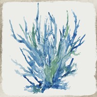 Blue and Green Coral II Fine Art Print