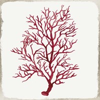 Red Coral III Framed Print