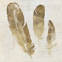 Feather Softly I Framed Print