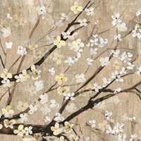 Pearls in Bloom II Fine Art Print