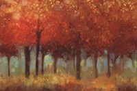 Red Forest Fine Art Print