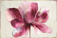 Lilya Red Fine Art Print