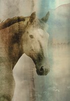 Lotta Fine Art Print