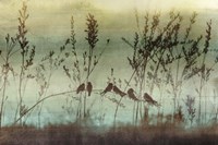 Louisianna Fine Art Print