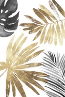 Tropical Palms III Framed Print