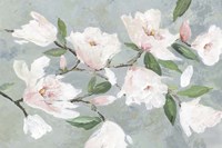 Soft Pink Magnolias Fine Art Print