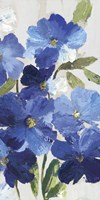 Cobalt Poppies III Fine Art Print