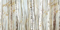 Birchscape I Fine Art Print
