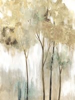 Sapling II Framed Print