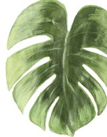 Palm Green I Fine Art Print