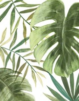 Tropical Mix I Framed Print