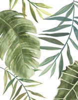 Tropical Mix II Framed Print