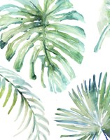 Palm Leaf Variation Fine Art Print