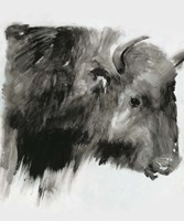 Black Bison Fine Art Print