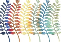 Fresh Ferns Fine Art Print