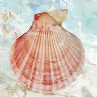 Pink Shell Fine Art Print