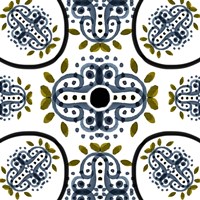 Toma I Fine Art Print