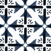 Toma II Fine Art Print