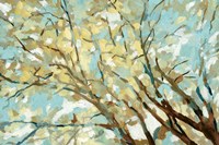 View From Below Fine Art Print