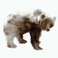 Bear Fine Art Print