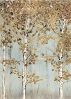 Soft Birch Fine Art Print