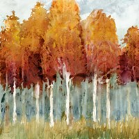 Birch I Fine Art Print