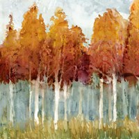 Birch II Fine Art Print