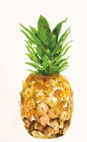 Pineapple I Fine Art Print