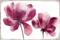 Lilya II Fine Art Print