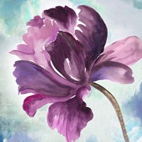 Tye Dye Floral II Framed Print