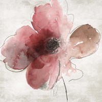 Mary II Framed Print