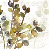 Solarium I Framed Print