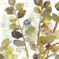 Solarium II Framed Print