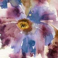 Laval II Framed Print