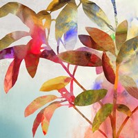 Charlotte II Framed Print