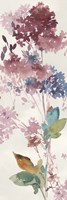 Hydrangea Fine Art Print