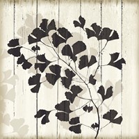 Shadow on Wood I Fine Art Print