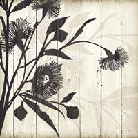 Shadow on Wood II Framed Print