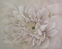 Prettiness Fine Art Print